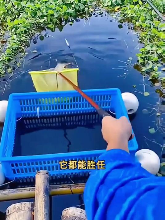 鱼竿选得好,钓鱼没烦恼!这款折叠鱼竿,超轻超硬,方便折叠携带