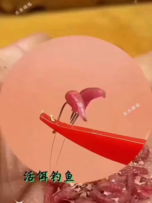 鲜活红蛆虫非染色浓香腥湖库溪流石斑马口鲫鱼白条公鱼野钓鱼饵料