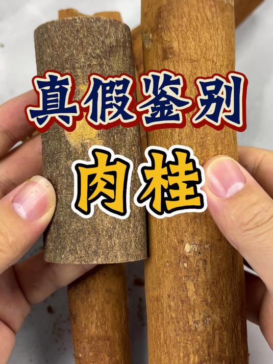 一条视频告诉你如何鉴别真假肉桂