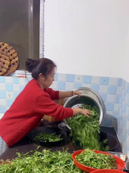 苦菜茶微苦,身体有某糖或有其他的朋友可以试一试