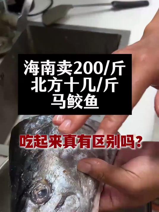 海南200一斤马鲛鱼真的比北方十几块的鲅鱼好吃吗？#钓鱼佬的高光时刻#