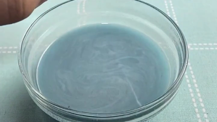 给仓鼠的第一杯奶茶 #萌宠星探# 