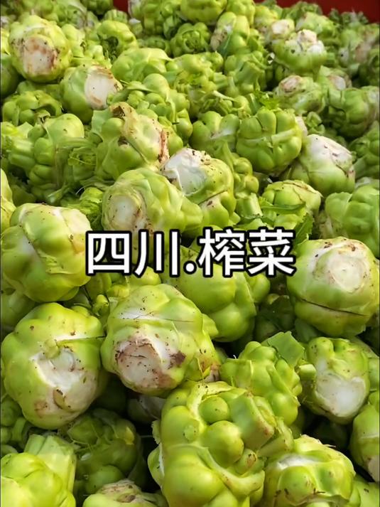 不咸不辣鲜脆可口的涪陵榨菜还是小时候的味道