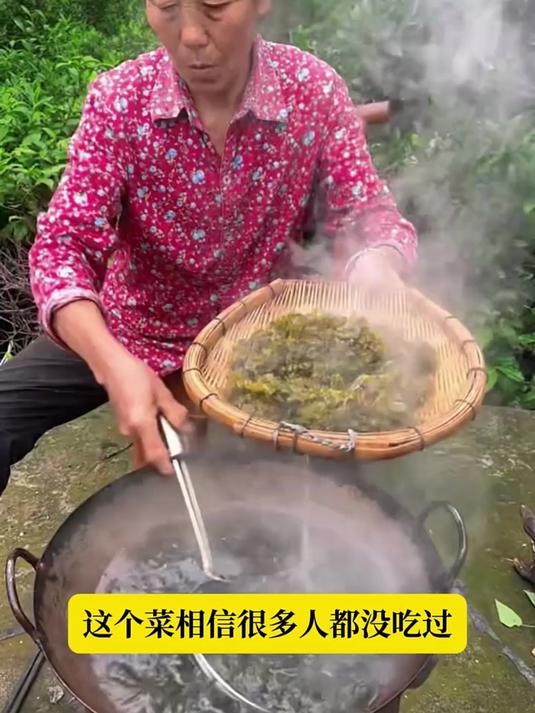 错过等一年!雨后才有的地皮菜,太珍贵了