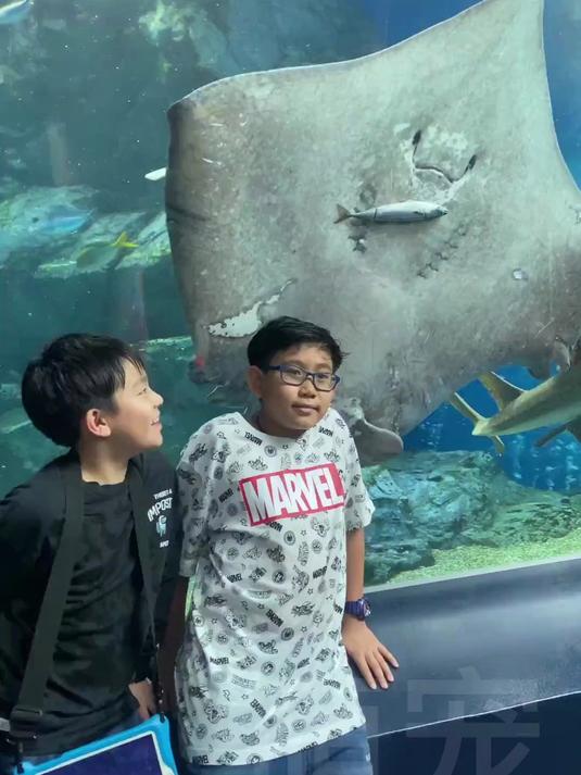 网友在水族馆拍照时,碰巧拍到了正在吃饭的鳐鱼