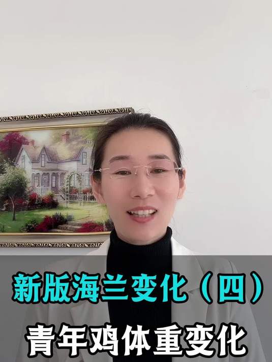 新版海兰变化（四），青年鸡体重变化