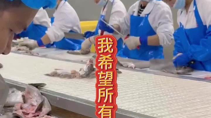 海鲈鱼开背的,功夫鱼,松鼠鱼,整条的半条的。我们都能生产