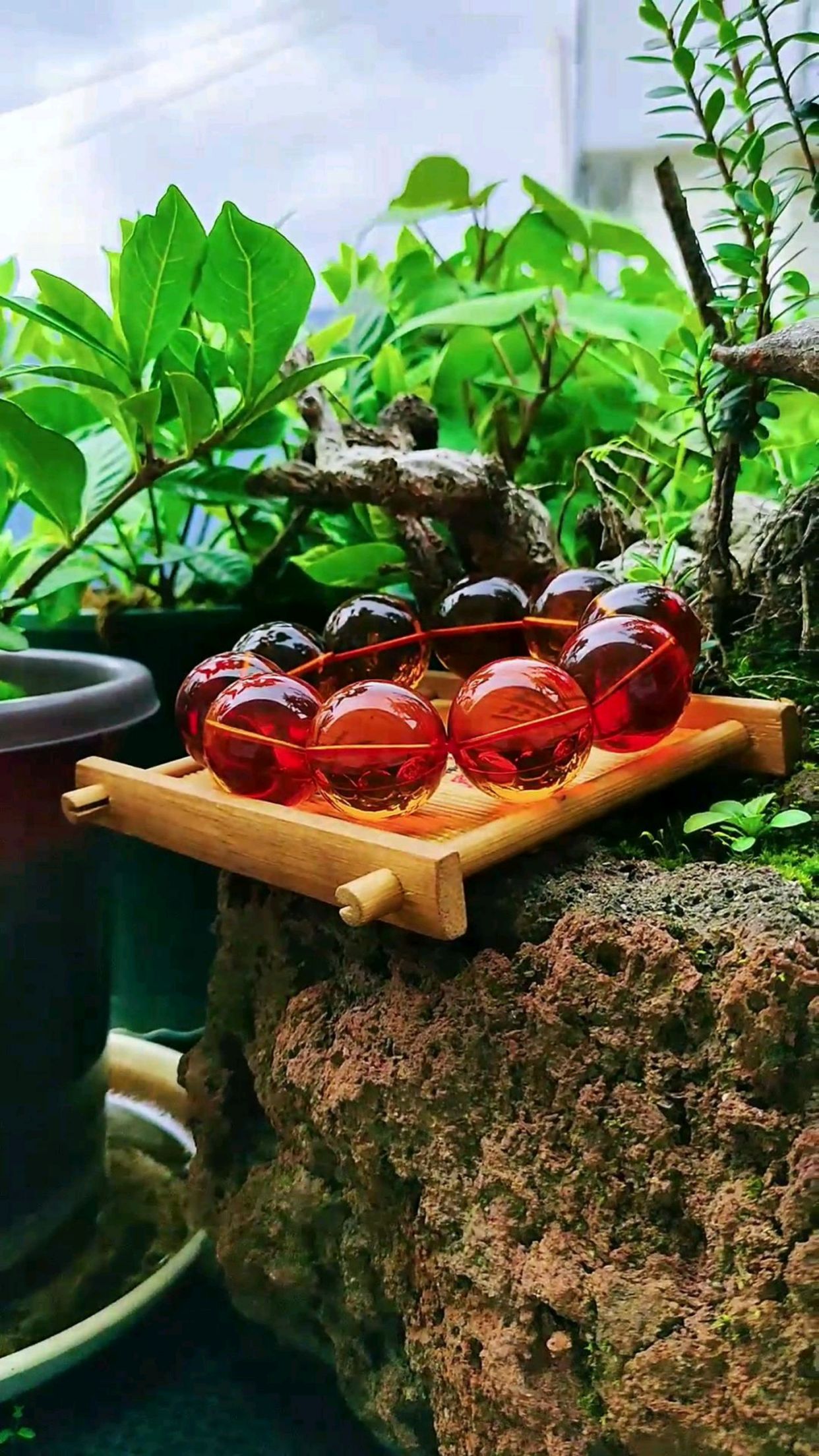 顶级血红茶已经达到血珀的的红色了!