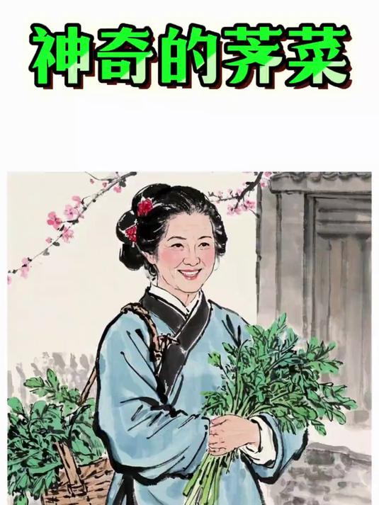 神奇的荠菜 荠菜的好处,你知道多少?