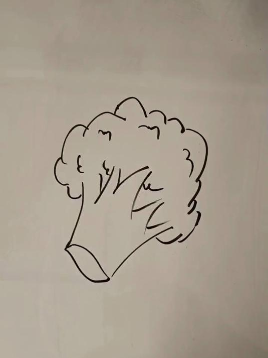 简笔画教程——西兰花