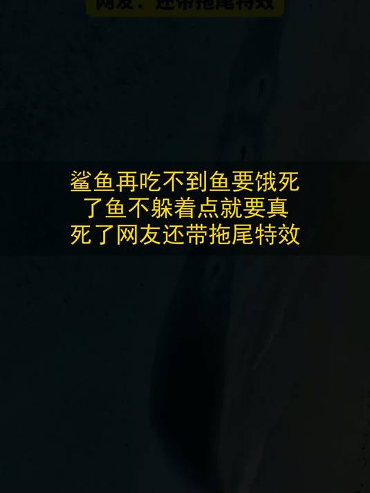 鲨鱼：再吃不到鱼要饿死了，鱼：不躲着点就要真死了，网友：还带拖尾特效