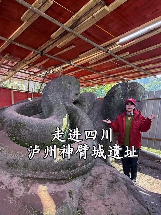 四川泸州发现中国最大的蛇盘乌龟，看上去非常奇特