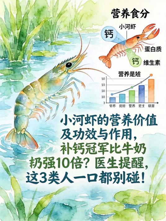 小河虾的营养价值及功效与作用,补钙冠军比牛奶强10倍?医生提醒:这3类人一口都别碰!