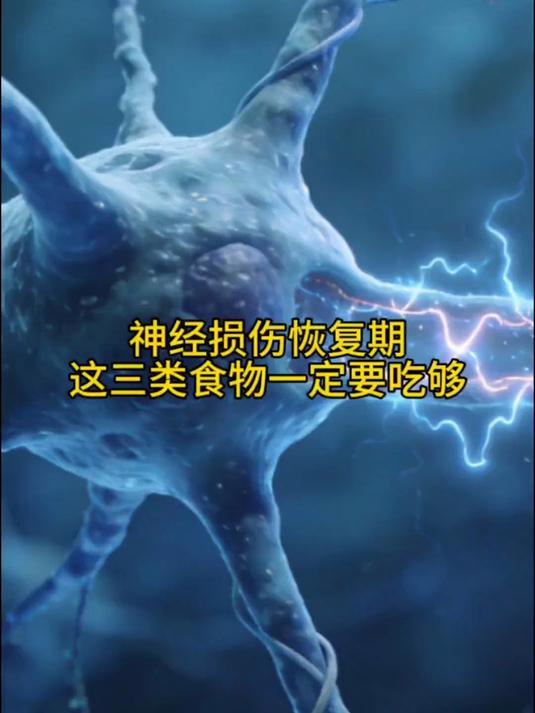 神经损伤后吃什么恢复得快这3类营养素帮神经修复“吃什么能让神经长得快一点”#健康养生#