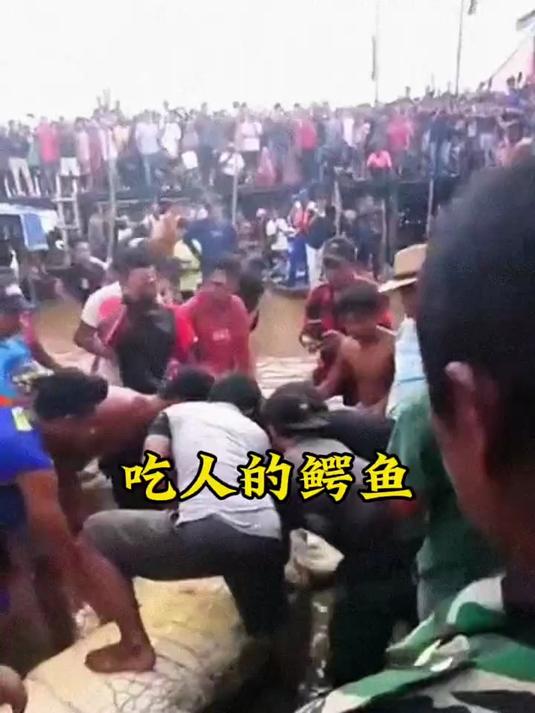 这条吃掉小女孩的鳄鱼,正在被村民开膛破肚,他们要解救孩子