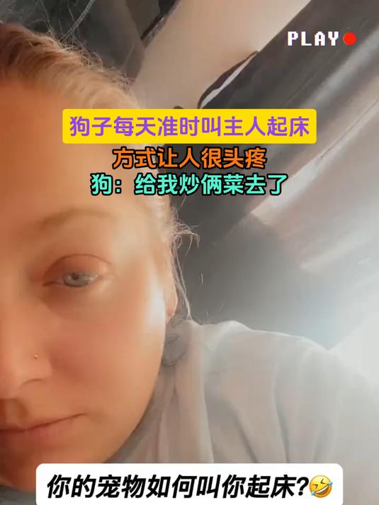 狗子每天准时叫主人起床,方式让人很头疼,狗:给我炒俩菜去了