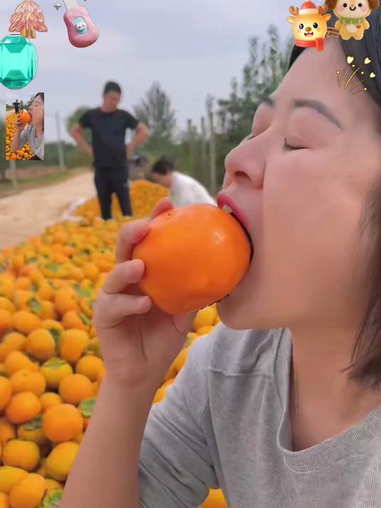 正宗巧克力柿子，果肉细腻，天然香甜超好吃！#春节#