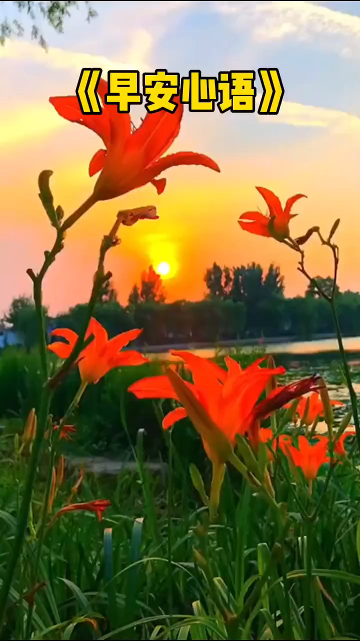 早安正能量语录