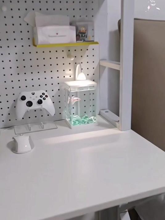 小小斗鱼桌面缸 治愈力拉满 你爱了吗?