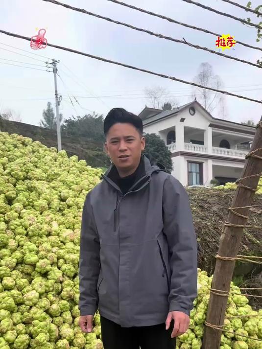 正宗涪陵榨菜丝美味下饭菜真的太好吃了!