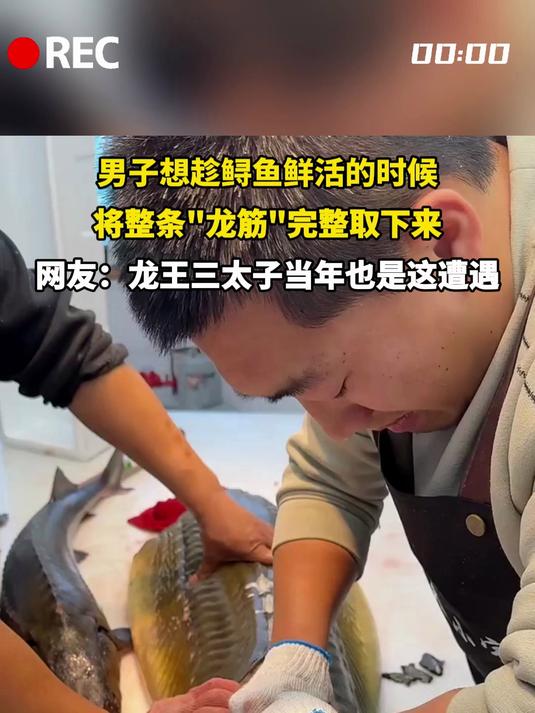 男子想趁鲟鱼鲜活的时候，将整条龙筋完整取下来