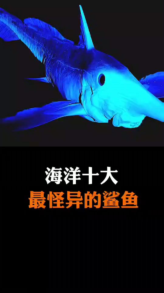 海洋十大最怪异的鲨鱼,你知道几种?