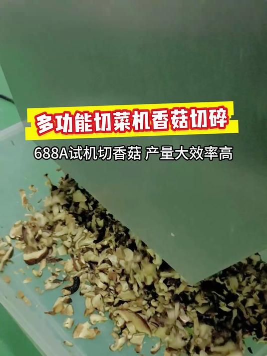全自动切菜机客户带香菇试机切碎,操作简单安全不伤手