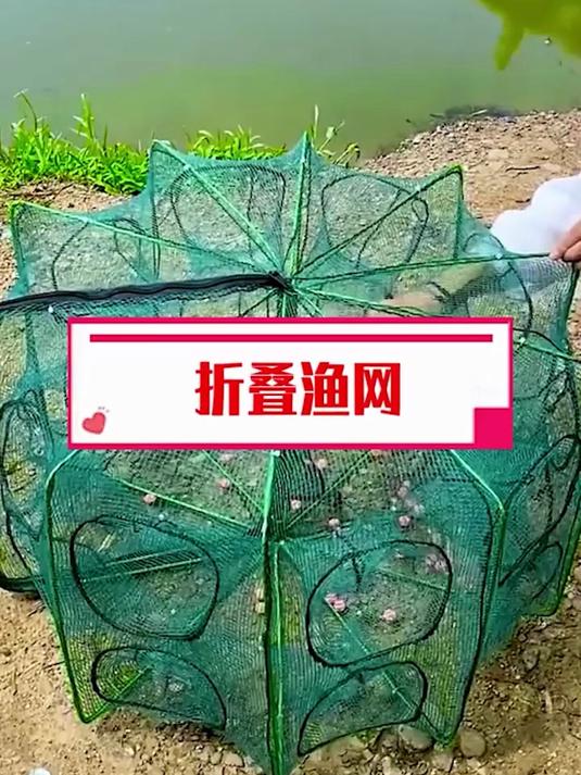 抓鱼虾就用这种折叠鱼网轻轻一抛等上两三个小时通通都往里面钻~
