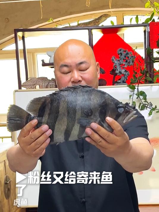 虎鱼拓印,五福临门