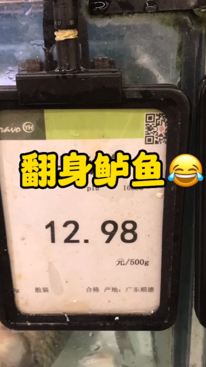 什么是翻身鲈鱼?吃了就可以咸鱼翻身吗