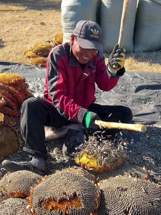 非遗五香配方改良｜含锌元素2.1mg/100g，儿童课后营养零食