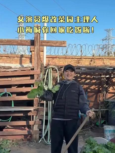 演员梅婷晒自家小菜园，周末约上三两闺蜜小酌一杯，好惬意