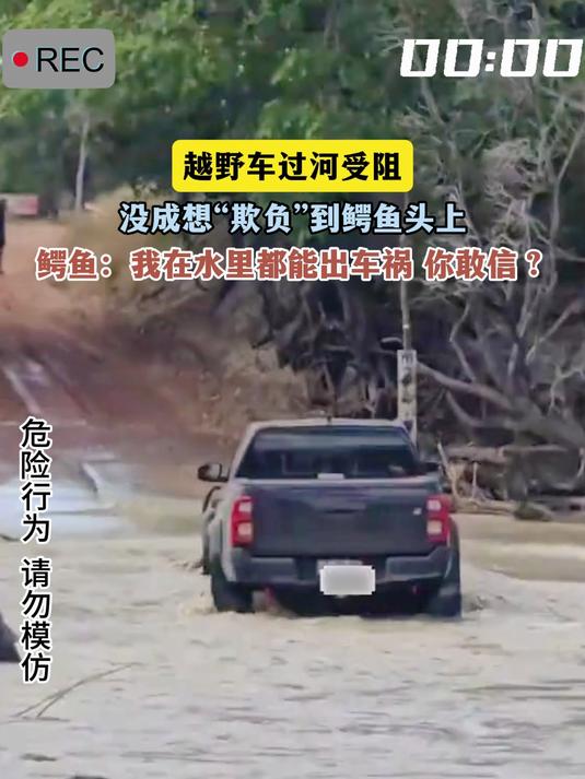 越野车过河受阻，没成想“欺负”到鳄鱼头上