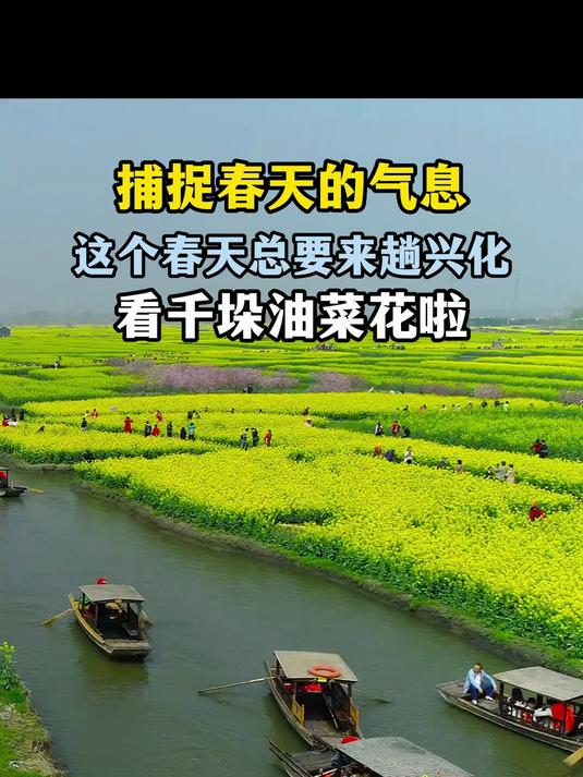再美的文案,都不及三月份的春暖花开,你准备好看油菜花了吗?