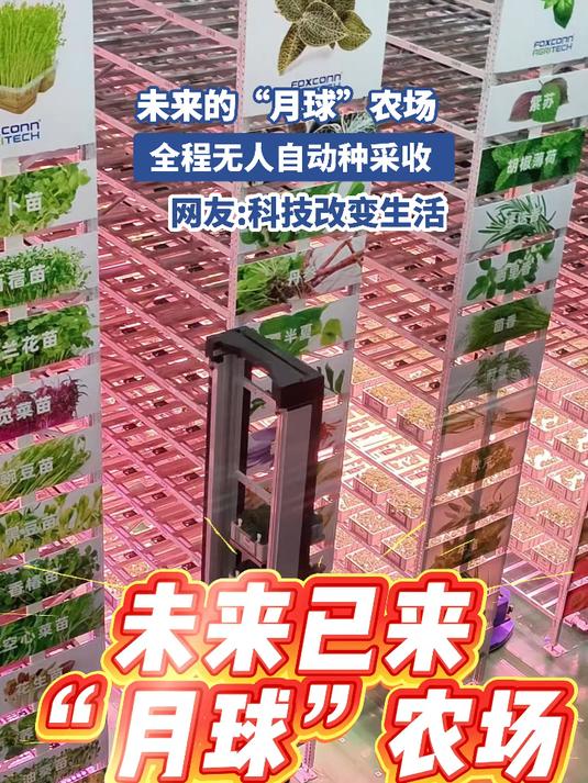未来 的“月球”农场,全程无人自动种采收