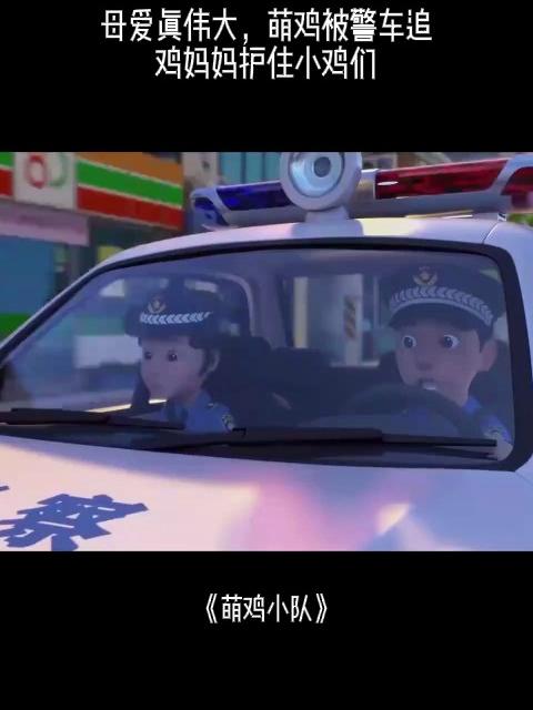 萌鸡小队:母爱真伟大,萌鸡被警车追,鸡妈妈护住小鸡们