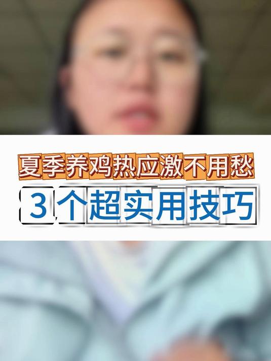 养鸡的技术和方法,夏季养鸡热应激!照着这3步做,鸡群状态拉满