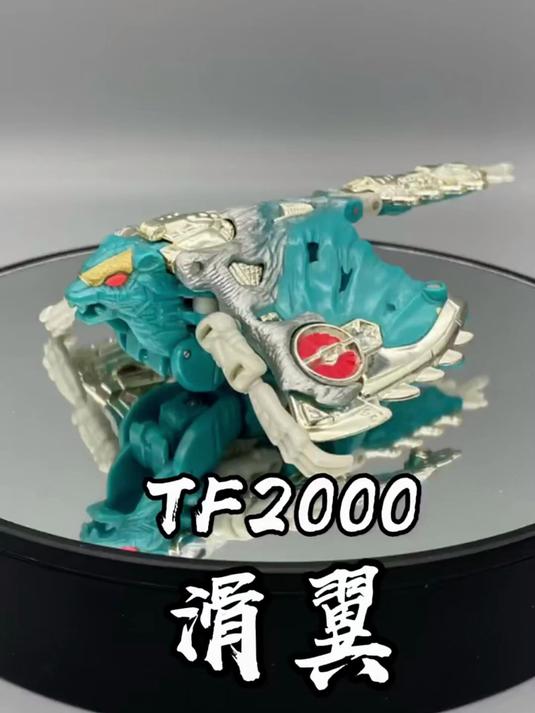 变形金刚 TF2000_汽车人战记系列 原始兽三傻之一 滑翼
