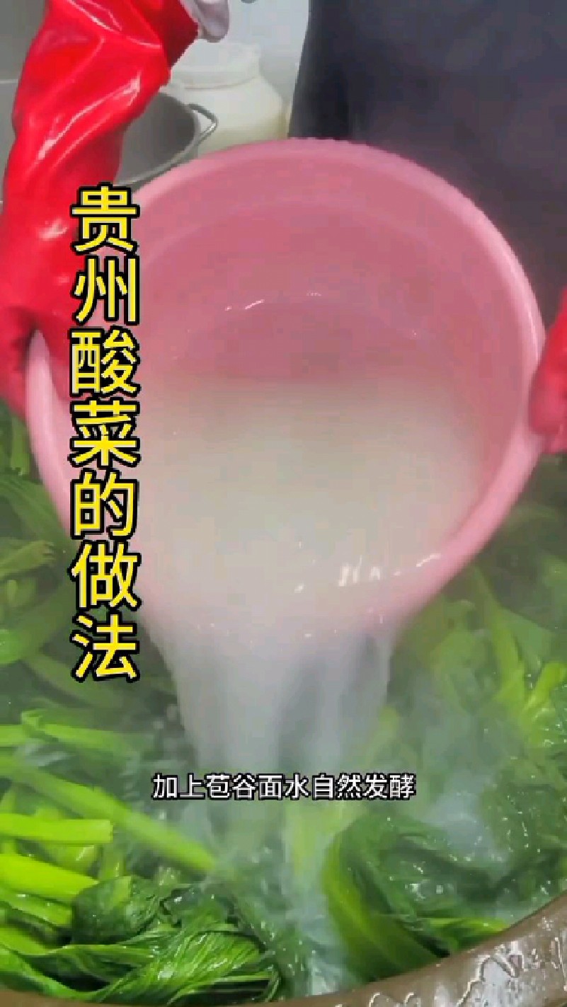 贵州酸菜是这样做的