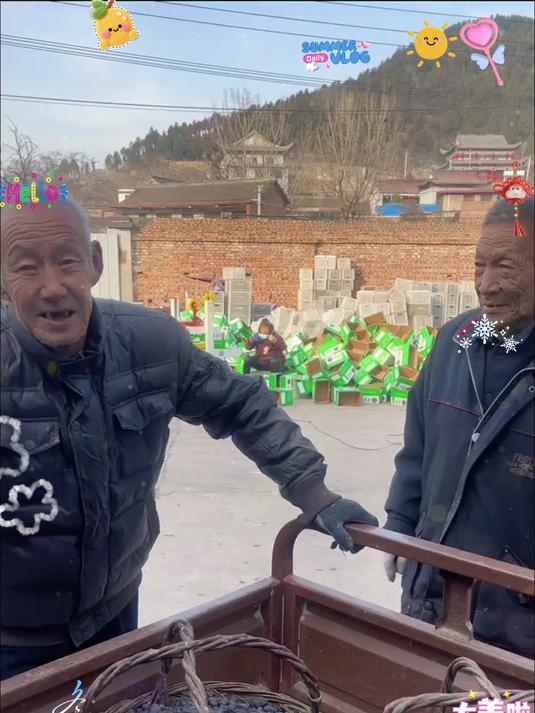 满满大山味的无核黑枣,口感沙甜可口,便宜又健康