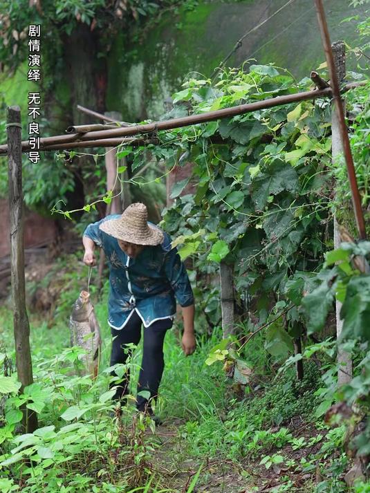 今天拿条十几斤的大鲤鱼,来做一道干烧鱼,上桌都抢起吃