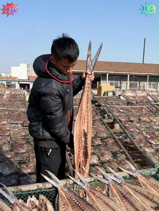 冬晒的刀鲅鱼干肉厚紧实红烧油炸下酒又下饭#海鲜干货_#鱼干_