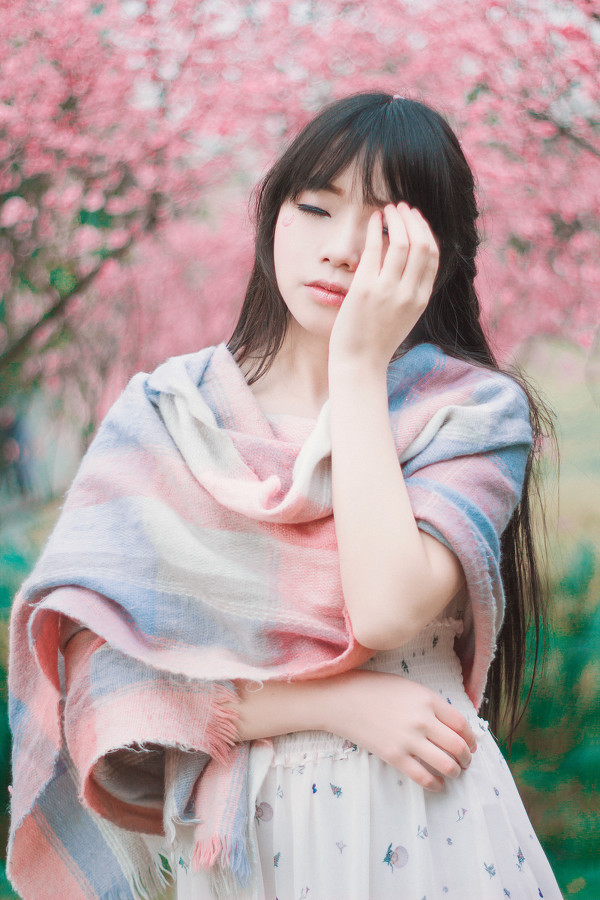 图片[5]-少女与樱-六色网