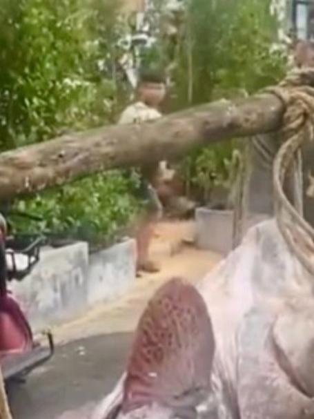 海口渔民捕获163斤罕见石斑鱼两名成年壮汉一起才抬得动网友:溜达一圈让同行们羡慕一下