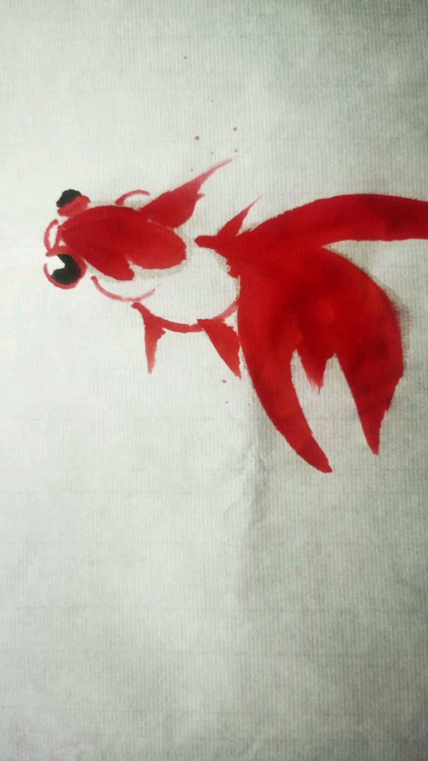 小金鱼不同形态的画法,快来和我一起画吧!