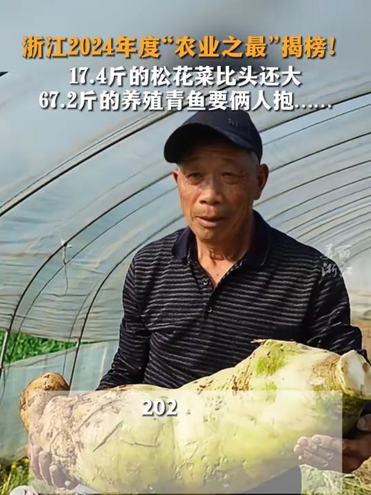 浙江2024年度农业之最揭榜,17.4斤的松花菜比头还大,67.2斤的养殖青鱼要俩人抱……