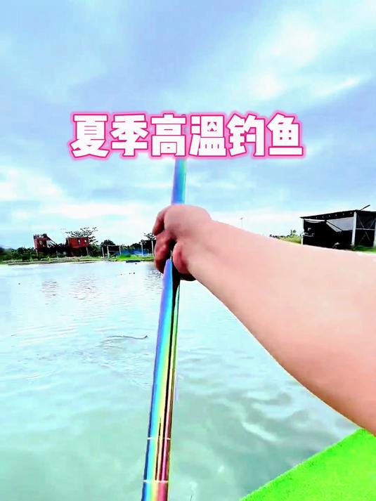 夏季高温钓鲫鱼怎么钓