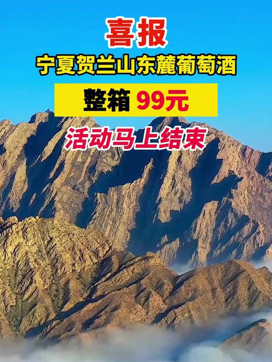 官方正品帝月干红葡萄酒红酒干红宁夏贺兰山葡萄酒沁香