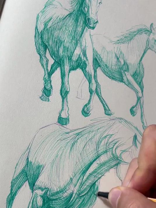 如何画马的素描
