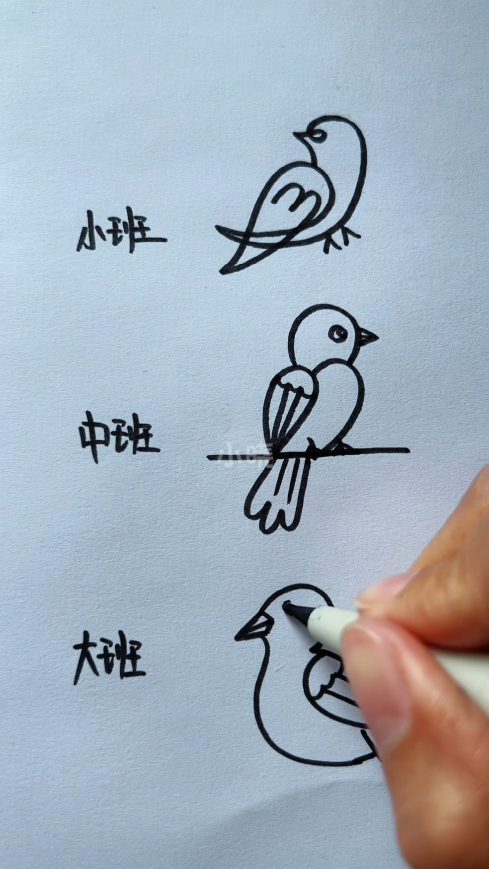 不同级别画小鸟